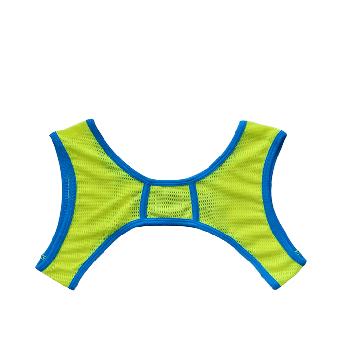 Dog & Master Mesh Harness