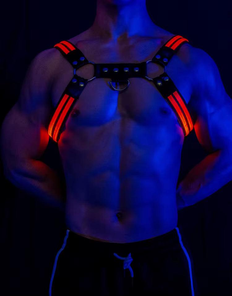 Halo Harness