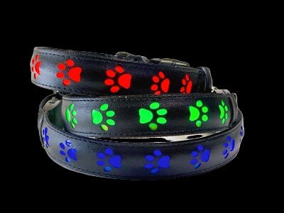 Paw Print Glow Collar