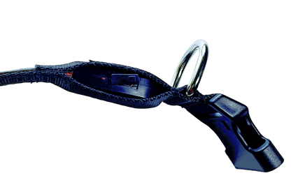 Paw Print Glow Collar