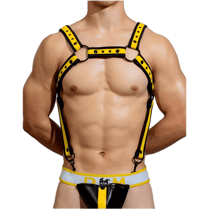 Dog & Master Body Harness