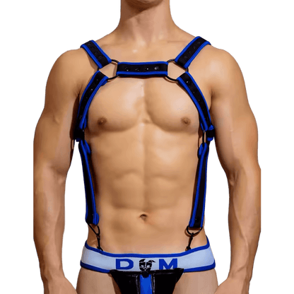 Dog & Master Body Harness