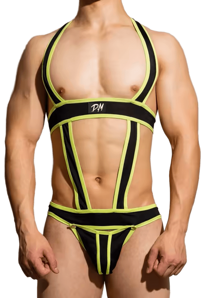 Dog & Master One Piece