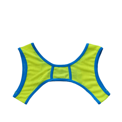 Dog & Master Mesh Harness