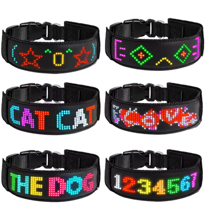 Future Collar