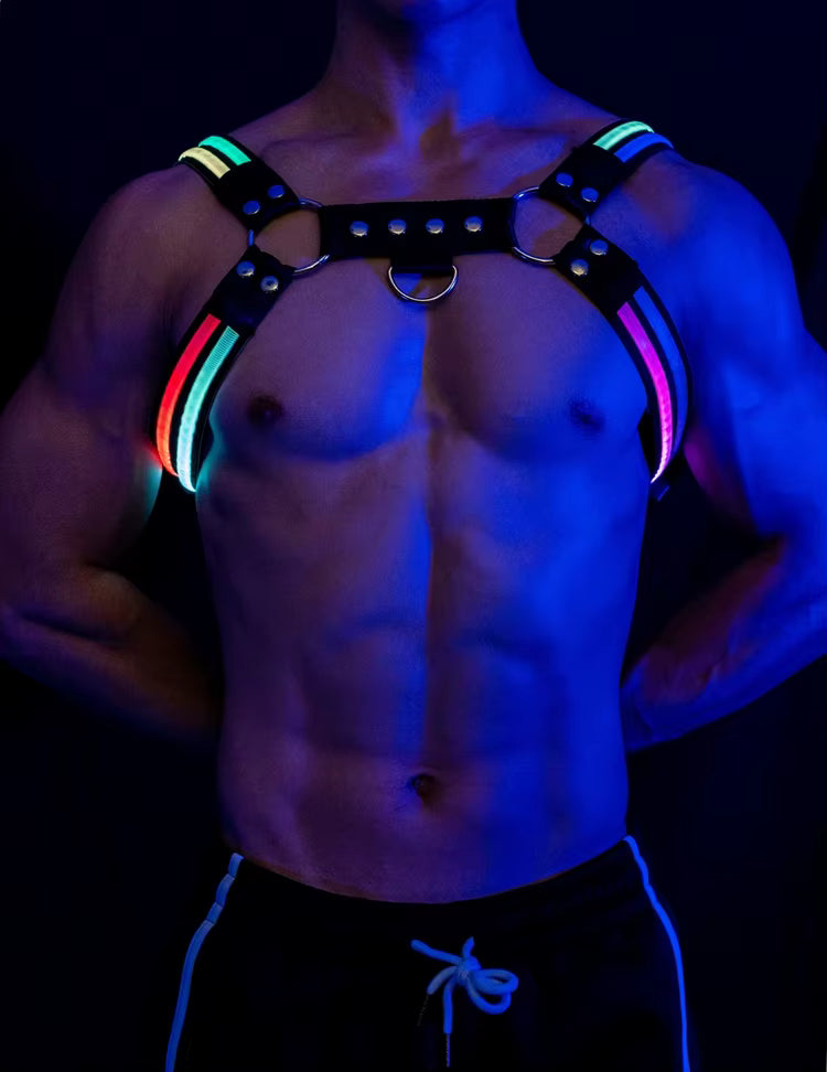 Halo Harness
